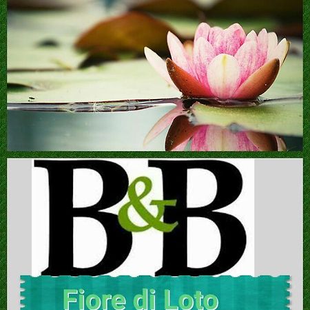 Fiore Di Loto Limatola Bagian luar foto